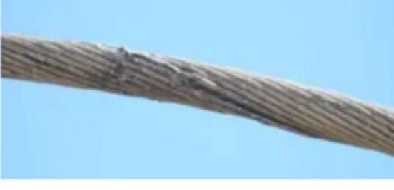 Inspección de cable conductor — NQN Survey
